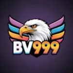 BV999 Game