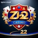 ZD 22 Game